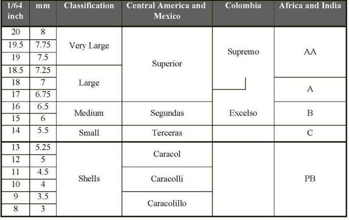 The SIZE of coffe beans: the bigger, the better?