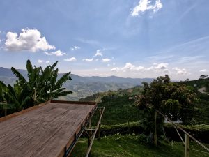 Viaggio in Colombia: scopriamo le piantagioni