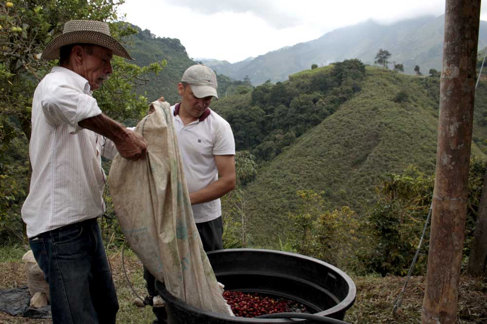 Il caffè colombiano: un patrimonio dell’umanità!
