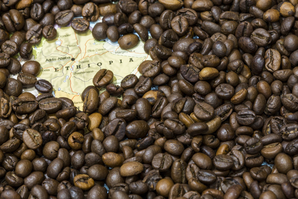 Der Ursprung des Kaffees